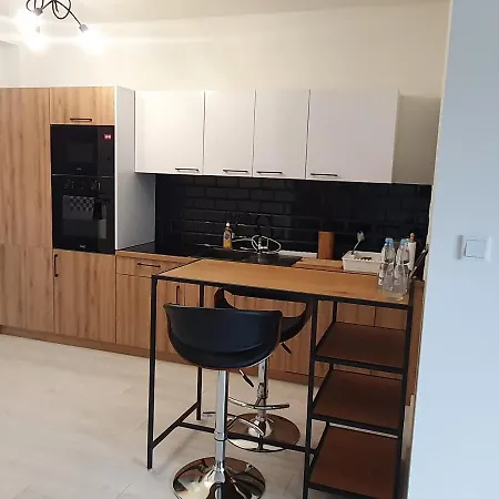 Business & Parking Sienkiewicza Apartman Leszno