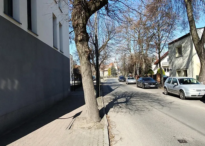 Business & Parking Sienkiewicza * Leszno (Greater Poland)